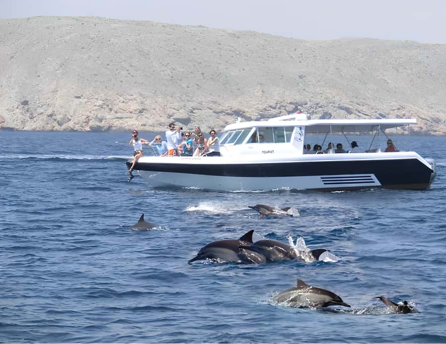Muscat: Dolphin Watching Boat Trip with Snacks & Local Guide - Setting out from Marina Bandar al Rowdha