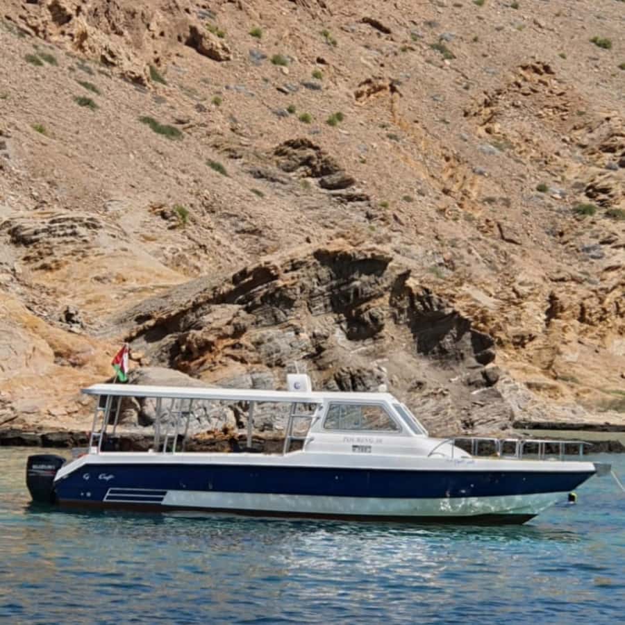 Muscat: Dolphin Watching Boat Trip with Snacks & Local Guide - Is $60 a fair price in Muscat?
