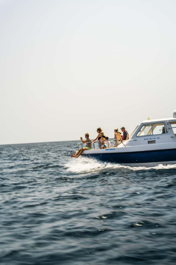 Muscat: Dolphin Watching Boat Trip with Snacks & Local Guide - Two hours looking for dolphins in open water