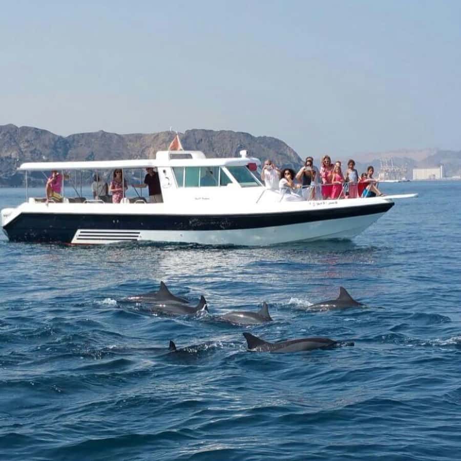 Muscat Dolphin Watching & Coastal Sightseeing Tour - Key points before you book