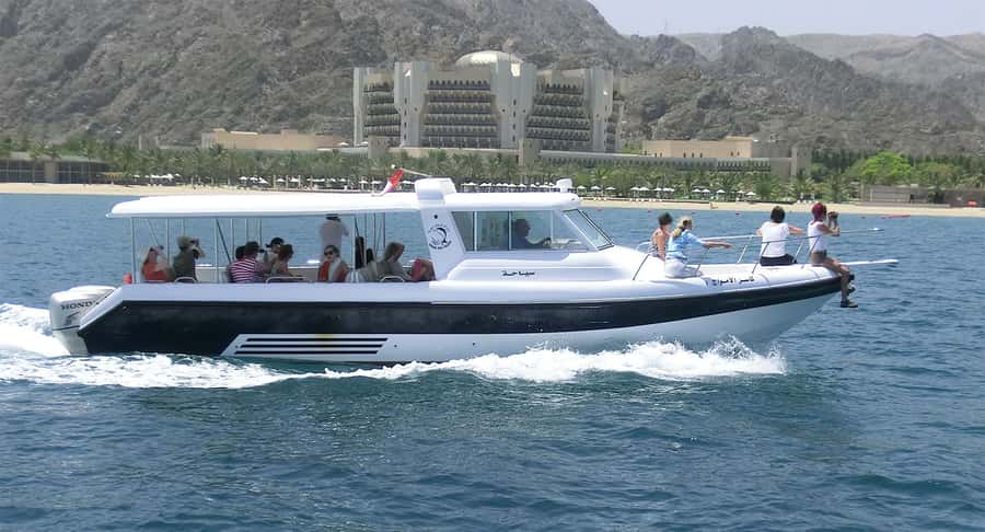 Muscat Dolphin Watching & Coastal Sightseeing Tour - The marina, transfers, and timing
