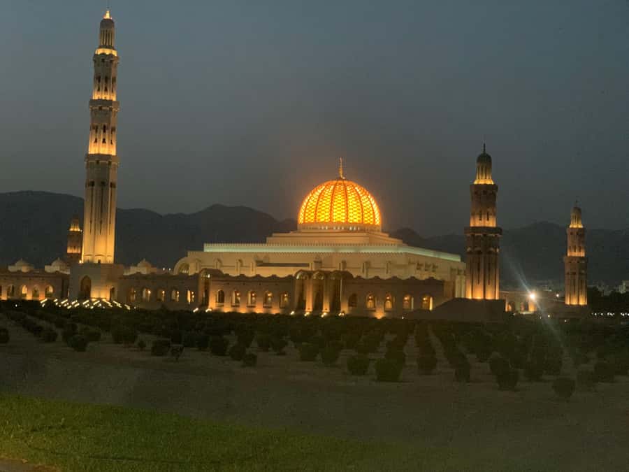 Muscat: Evening Group City Guided Tour with Free Dinner - What a 270-Minute Evening Route Gives You