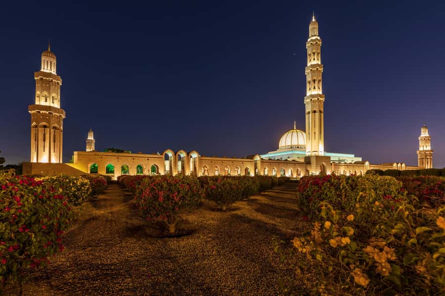 Muscat: Evening Guided City Highlights Tour by Van - Why Muscat works so well at night