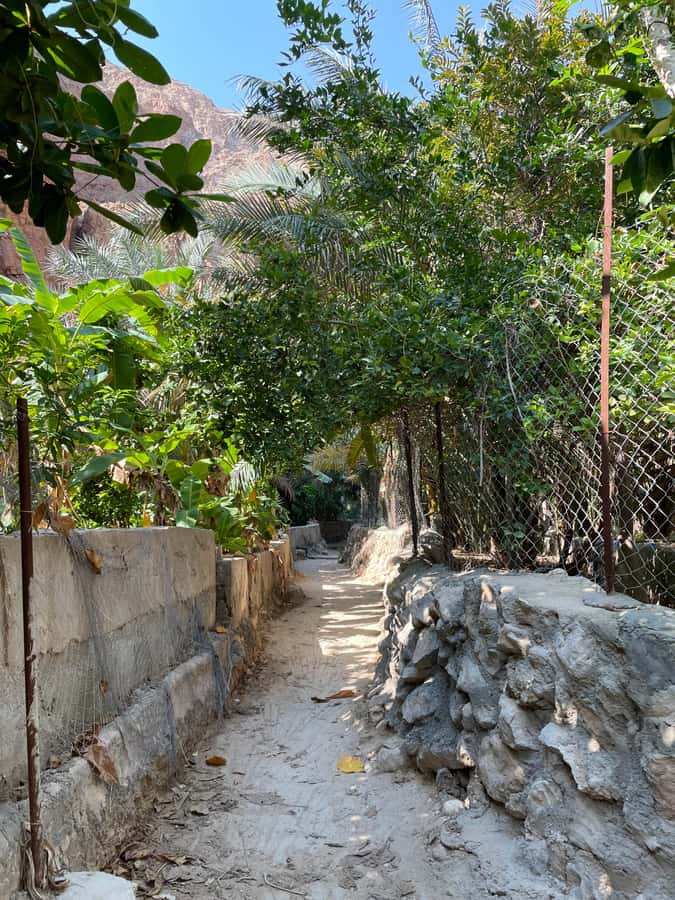 Muscat: Full-Day Wadi Shab & Bimmah Sinkhole Private Tour - Leaving Muscat Around 7:30 AM