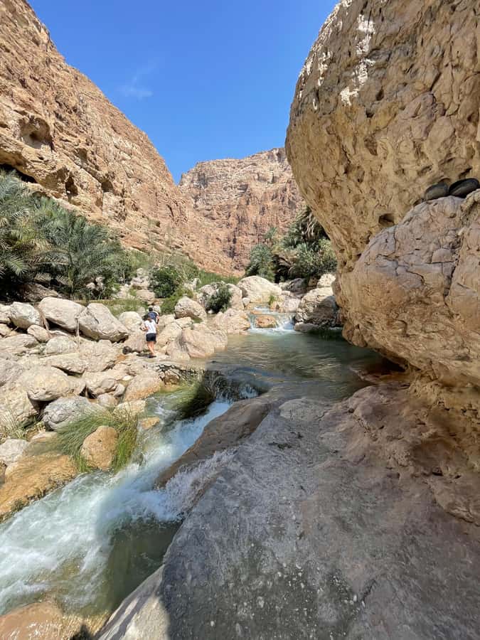 Muscat: Full-Day Wadi Shab & Bimmah Sinkhole Private Tour - Why a Private Guide Improves Wadi Shab