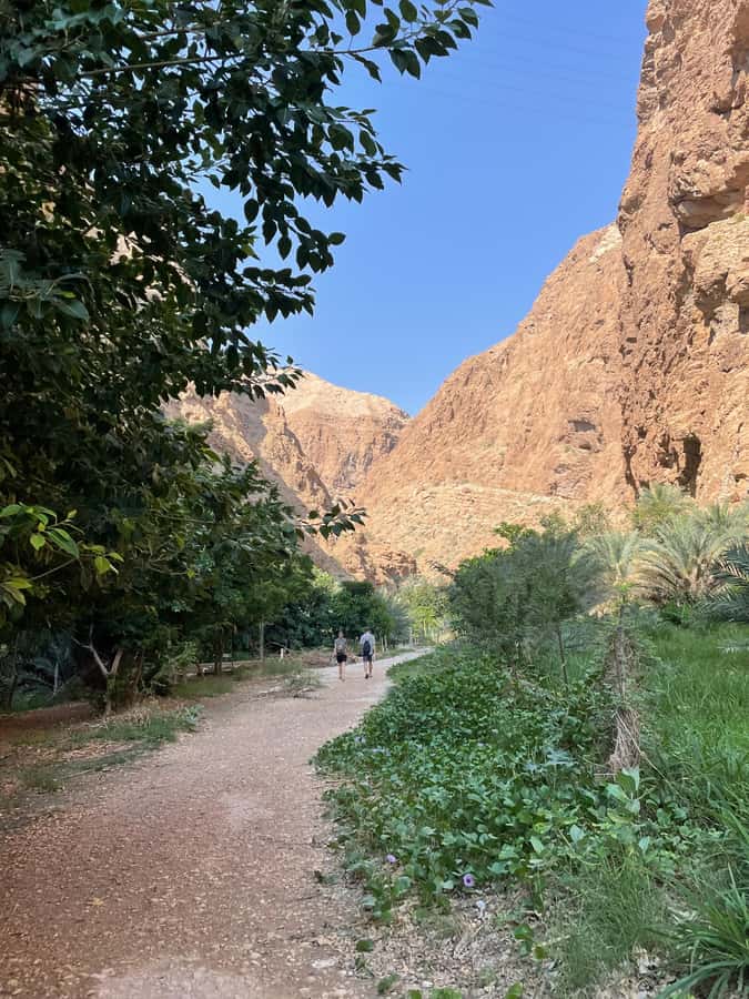 Muscat: Full-Day Wadi Shab & Bimmah Sinkhole Private Tour - Is $130 Per Person Good Value?