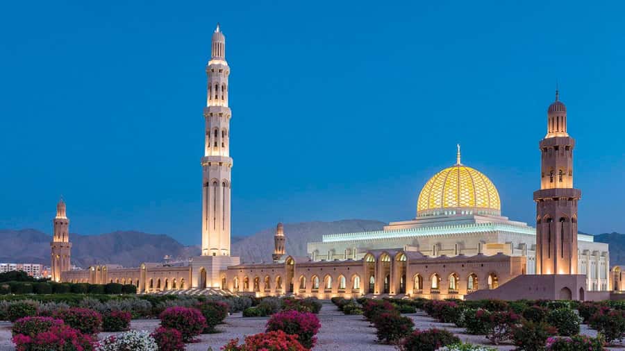 Muscat: Group City Tour with Pickup and Lunch or Dinner - Key points to know before booking