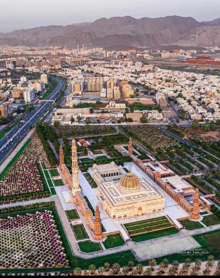 Muscat: Guided Landmarks Tour - Why this five-hour Muscat tour works well