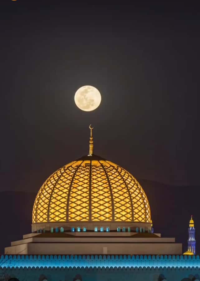 Muscat: Guided Landmarks Tour - Museums and lunch: useful extras, not automatic inclusions