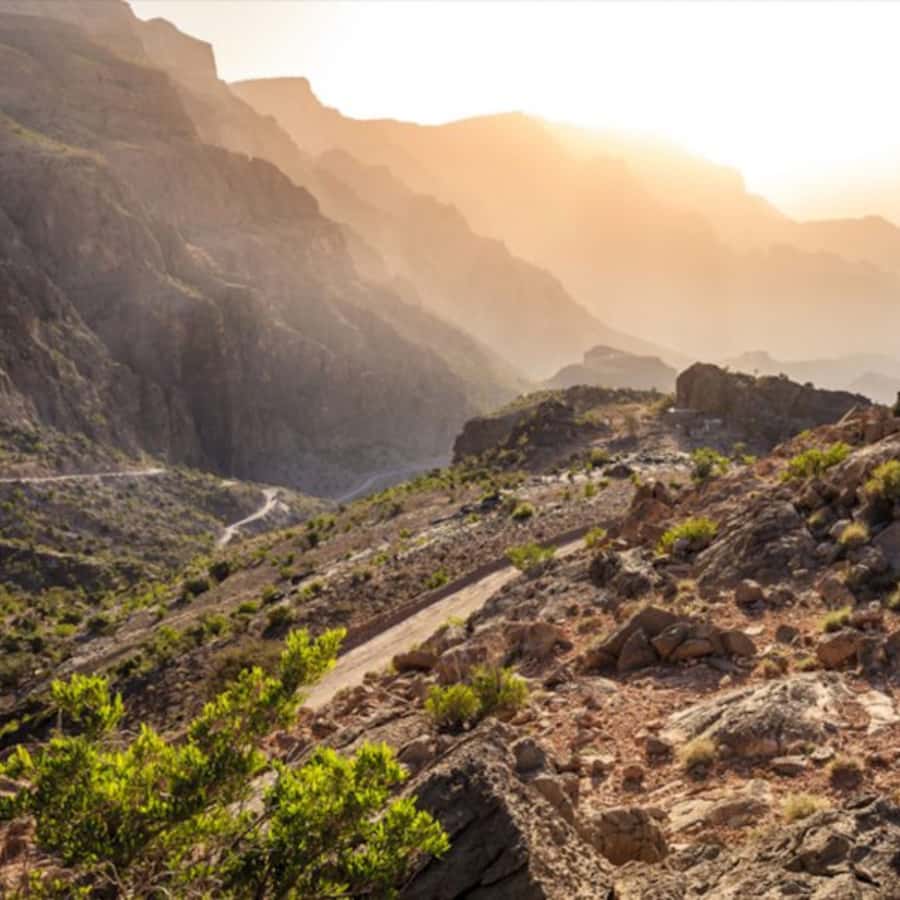 Muscat: Nizwa and Jabal Shams- Full Day Tour - The long road from Muscat to Oman’s interior