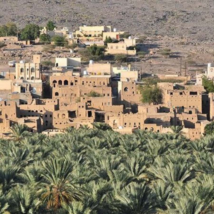 Muscat: Nizwa and Jabal Shams- Full Day Tour - Al Hamra, a village built from loam