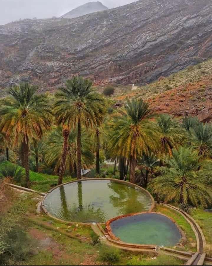 Muscat Oman Grand Canyon, Jebel Shams & Nizwa - Who will get the most from this tour