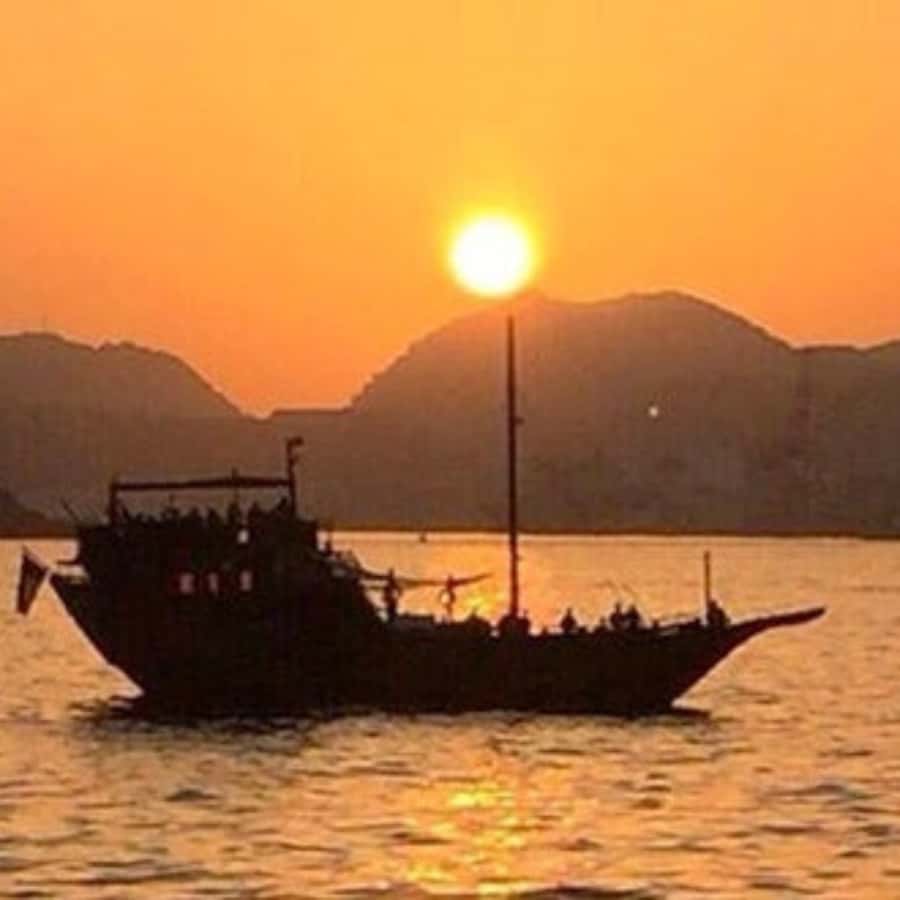 Muscat: Omani Traditional Dhow Sunset Cruise - Practical ways to get more from the evening