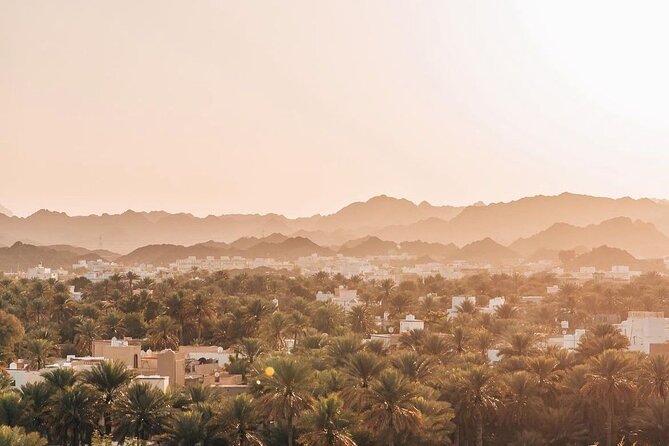 Muscat Shore Excursion: Private Nizwa Day Trip - Private guiding and the value of flexibility