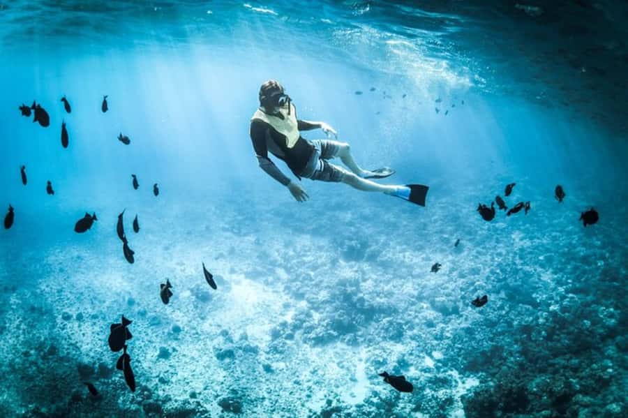 Muscat: Snorkeling and Dolphin Watching Tour - Leaving Muscat from Marina Bandar Al Rowdha