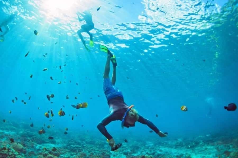 Muscat: Snorkeling and Dolphin Watching Tour - Snorkeling, Swimming, and Fish in Clear Water