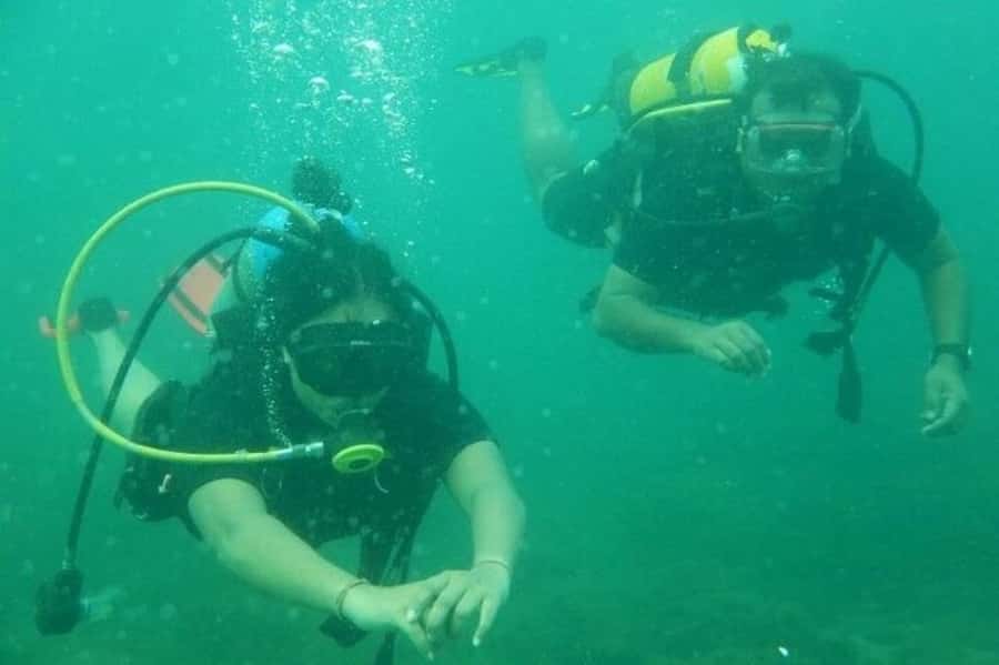 Muscat: Snorkeling and Dolphin Watching Tour - Who Will Like This Short Muscat Excursion?