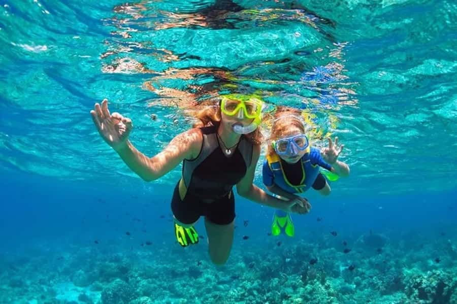 Muscat: Snorkeling and Dolphin Watching Tour - The Three-Hour Boat Cruise Along Muscat’s Coast