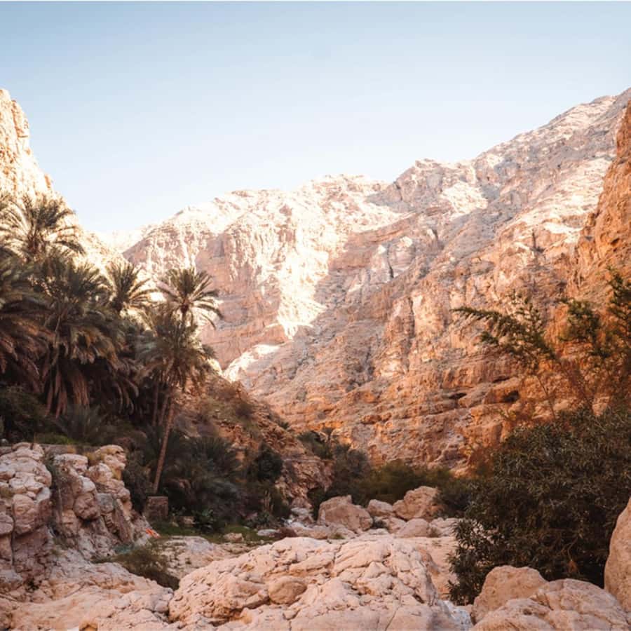 Muscat: Southern Treasures & Wadi Shab Tour with Audio Guide - What the $83 price really covers