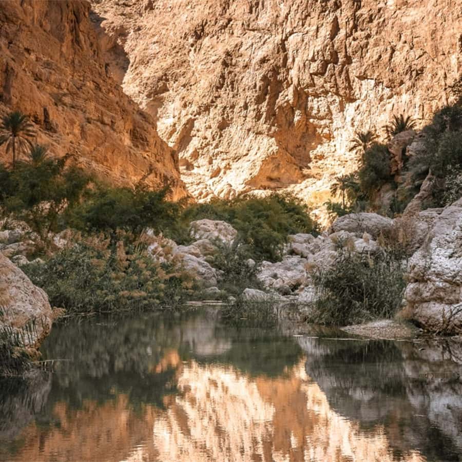 Muscat: Southern Treasures & Wadi Shab Tour with Audio Guide - Who should choose this outing