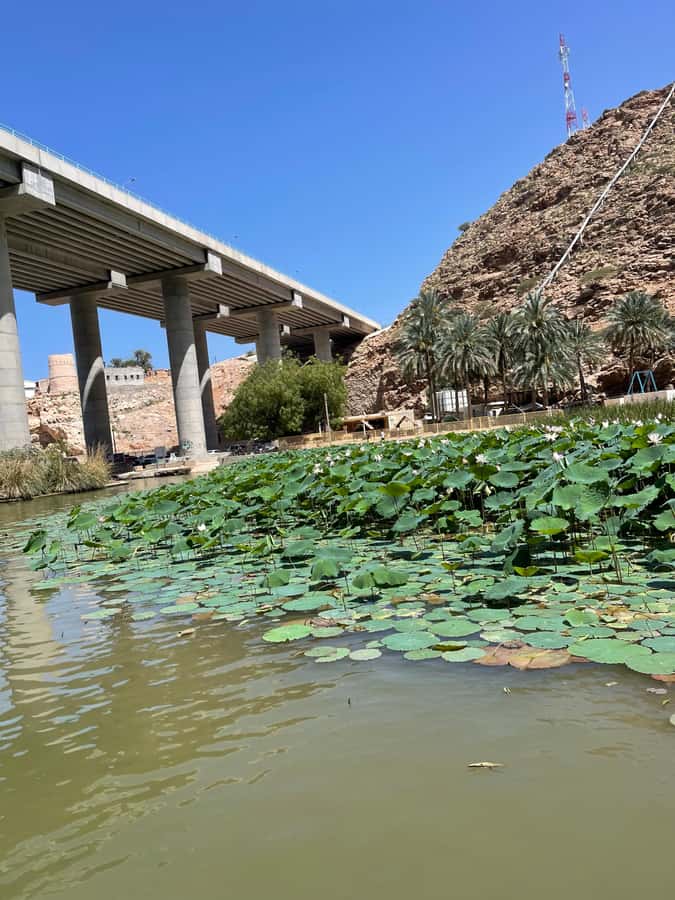 Muscat: Wadi Shab, Romantic Cave and Sinkhole Full-day Trip - Swimming toward the waterfall cave