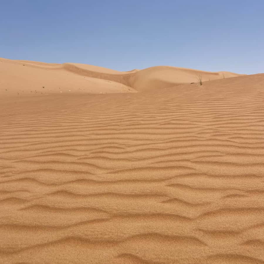 Muscat: Wahiba Sands Desert & Wadi Bani Khalid Full Day Tour - Two hours among the Wahiba Sands dunes