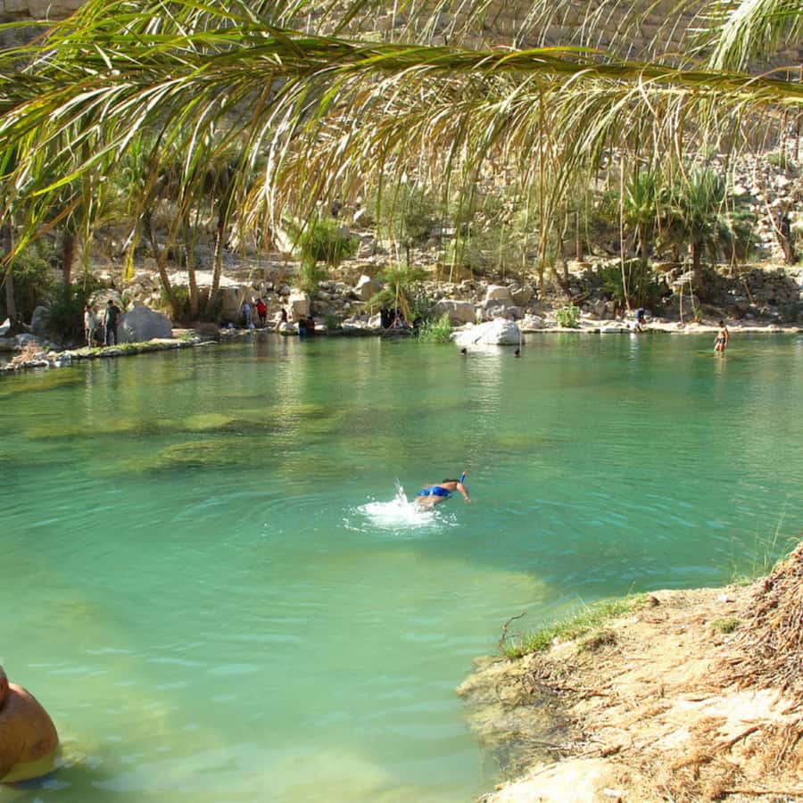 Muscat: Wahiba Sands Desert & Wadi Bani Khalid Full Day Tour - Who should book this experience?