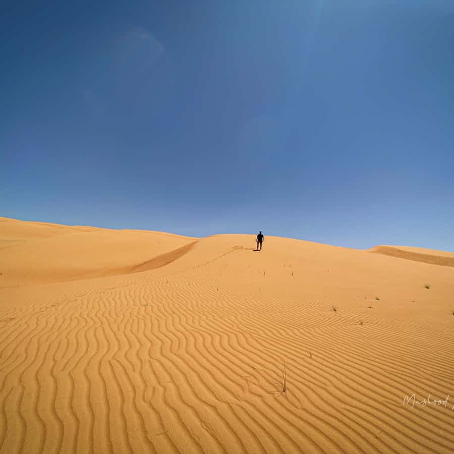 Muscat: Wahiba Sands Desert & Wadi Bani Khalid Full Day Tour - The three-hour road from Muscat