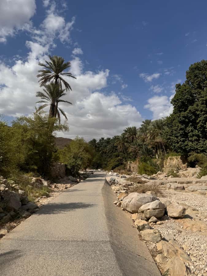 Muscat: Wahiba Sands & Wadi Bani Khalid Full-Day Tour+Lunch - Wadi Bani Khalid’s pools, palms, and caves