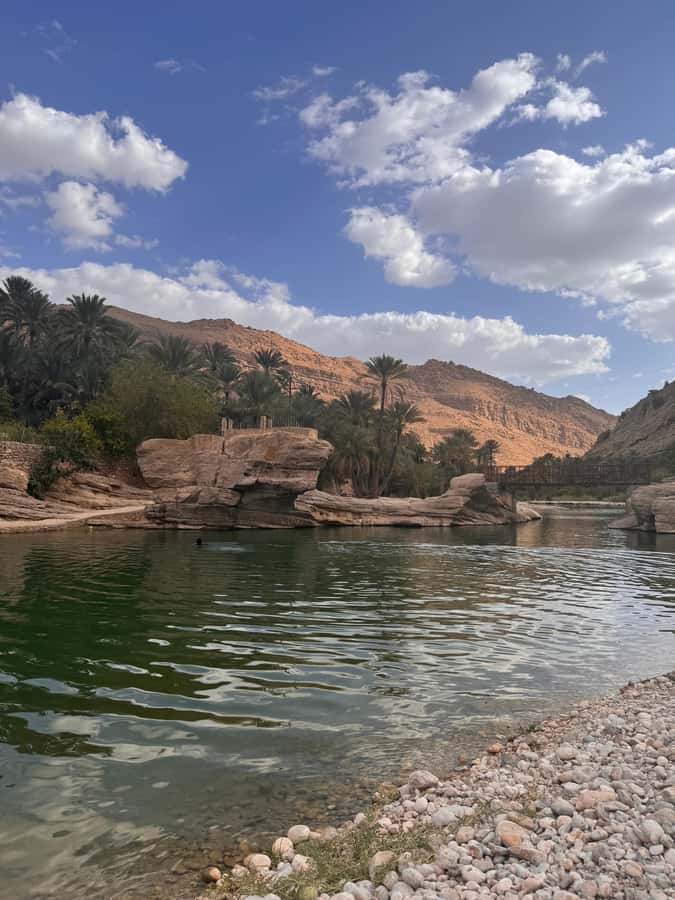 Muscat: Wahiba Sands & Wadi Bani Khalid Full-Day Tour+Lunch - Lunch and the long ride back