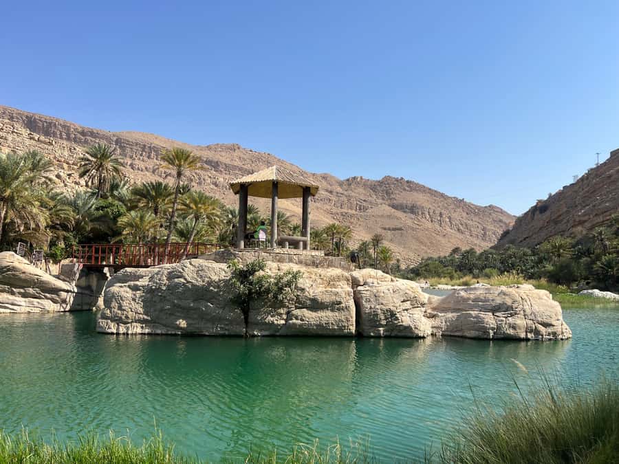 Muscat: Wahiba Sands, Wadi Bani Khalid & Mudayrib Tour - Tea, snacks, and the trip back
