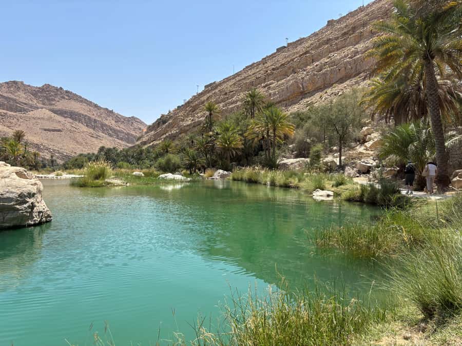 Muscat: Wahiba Sands, Wadi Bani Khalid & Mudayrib Tour - What $98 really buys you