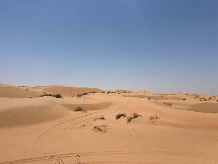 Muscat: Wahiba Sands, Wadi Bani Khalid & Mudayrib Tour - The long road east from Muscat