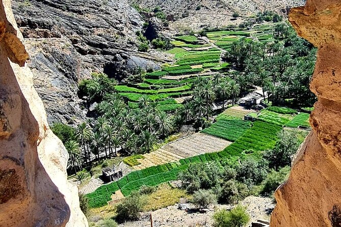 Nakhal Fort-Nakhal Hotspring-Wadi Bani Awf-Bilad Sayt - Private Full Day Tour - Wadi Bani Awf is the rugged heart of the trip