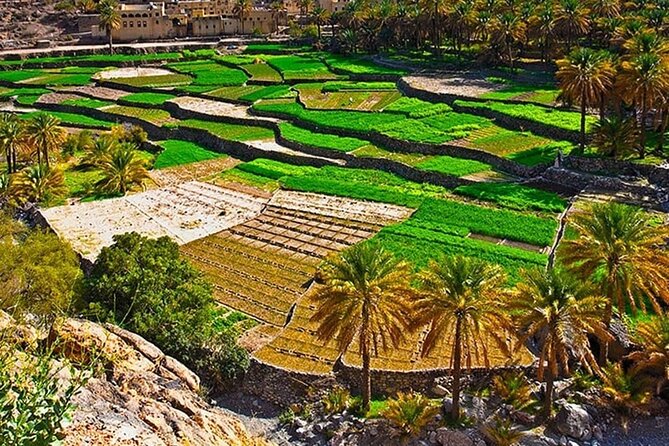 Nakhal Fort-Nakhal Hotspring-Wadi Bani Awf-Bilad Sayt - Private Full Day Tour - Who will enjoy this Oman mountain day