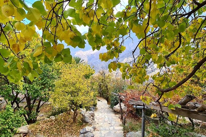 Nakhal Hotspring and Wakan Village Private Full Day Tour - The Guide Can Shape the Day