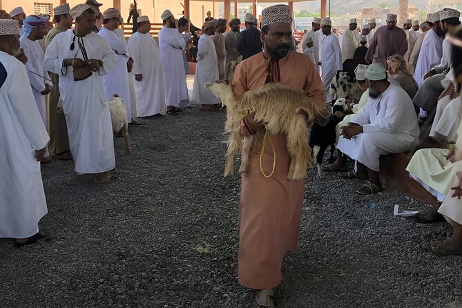 Nizwa and Oman's Historical Gems Tour - Falaj Daris, Oman’s water system in plain view