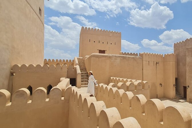 Nizwa Fort-Nizwa Souq-Birkat Al Mouz-Jebel Akhdar - Private Full Day Tour - Who should book this private Oman tour?