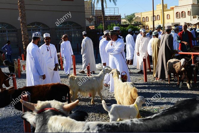 Nizwa Friday Market Jabal Chams - Misfah, a village shaped by stone