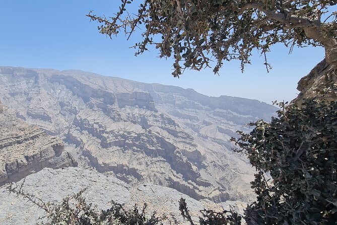 Nizwa Heritage & Jebel Shams Canyon – Private Tour from Muscat - Nizwa Fort and the old capital’s high views