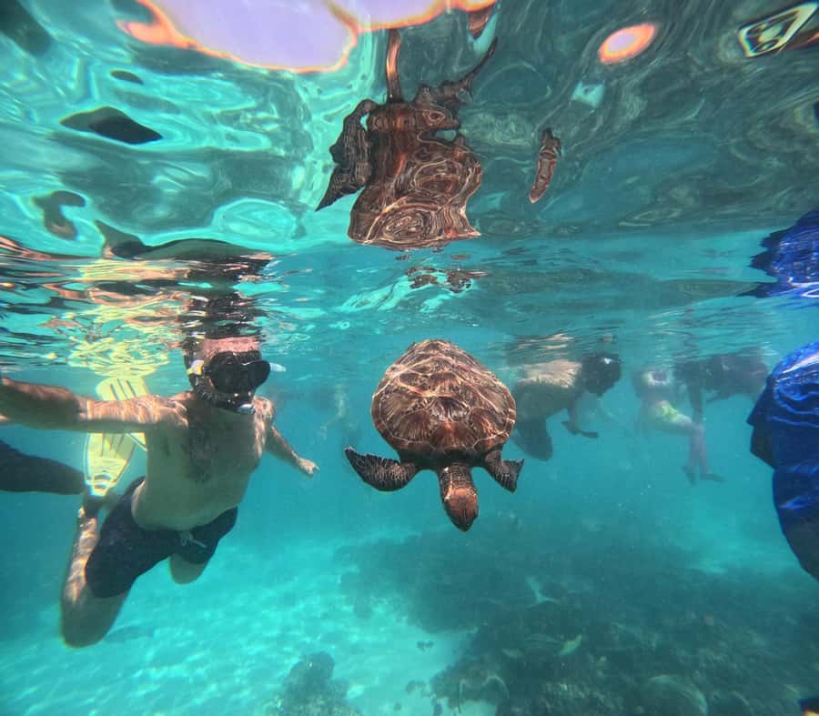 Oman: Daymaniyat Island Snorkeling Trip with Equipment - Key points at a glance