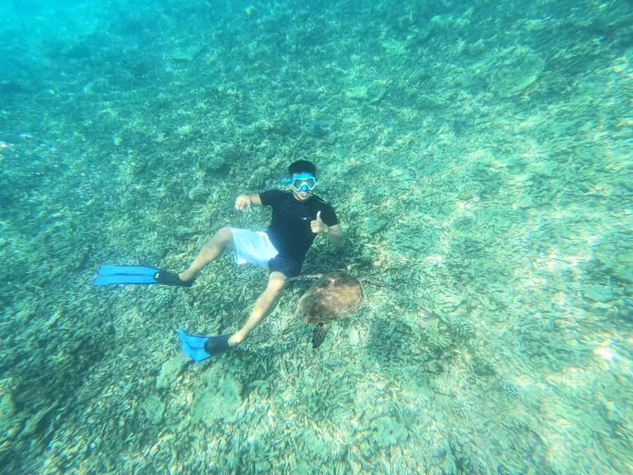 Oman: Daymaniyat Island Snorkeling Trip with Equipment - Food, drinks, and the value of the $85 price