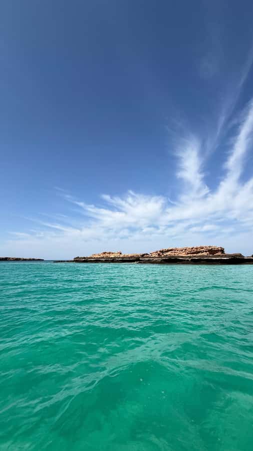 Oman: Daymaniyat Islands Visit and Snorkeling - Key points to know before you book