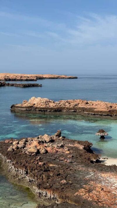 Daymaniyat Islands Visit and Snorkeling