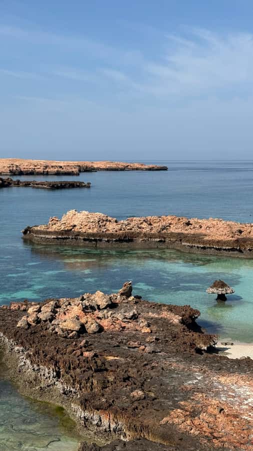 Oman: Daymaniyat Islands Visit and Snorkeling - The first snorkeling session: coral, fish, and turtles