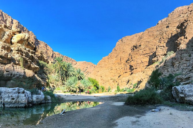 Oman Explorer: City, Wadis, and Desert 5-Day Adventure - Arrival in Muscat: an easy first step