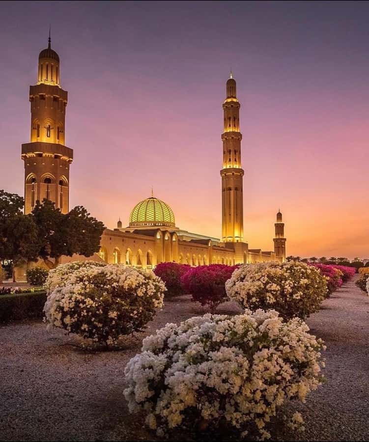 Oman:Group Muscat City Tour With Pick Up & Free Lunch/Dinner - Why this Muscat tour works well for a first visit