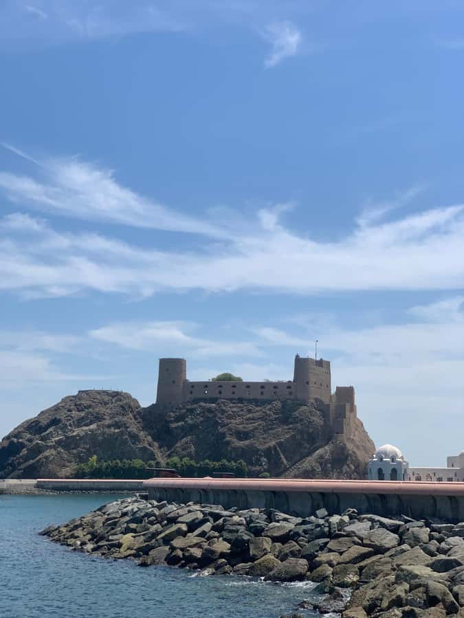 Oman: Private City Tour of Muscat with pick up/drop off - Walking the Muttrah Corniche and fish market