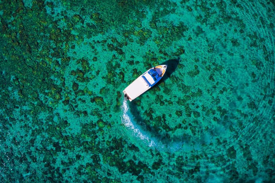 Oman: Snorkeling Trip at Daymaniyat Islands - Snorkeling at different spots around the reserve