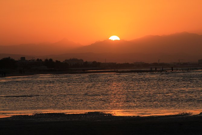 Omani Dhow Coastal and Sunset Cruise - What the Traditional Dhow Adds